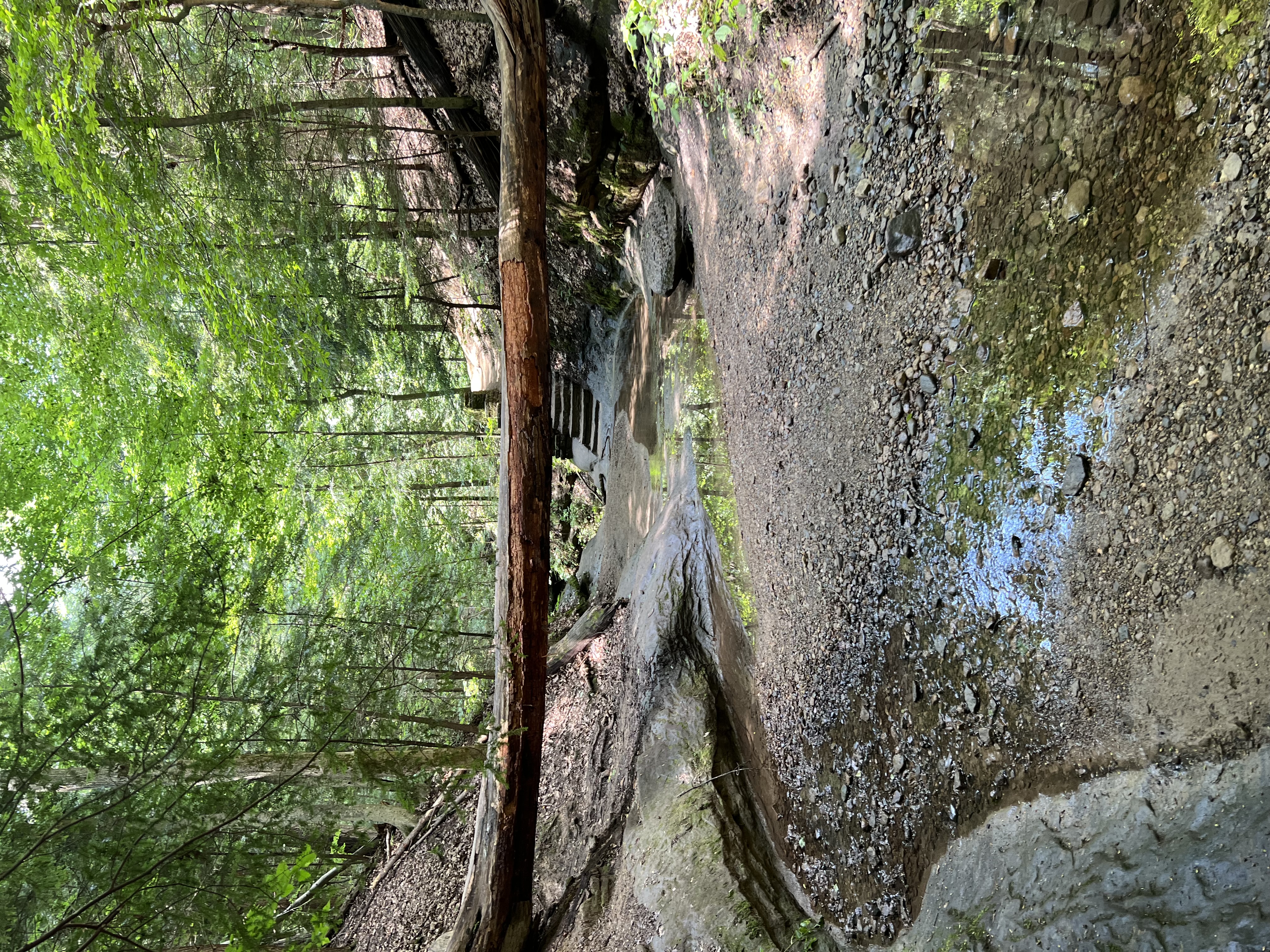 Turkey Run 5